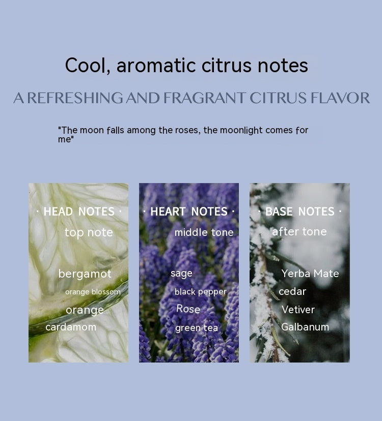 Aromatic Citrus Long-lasting Perfume